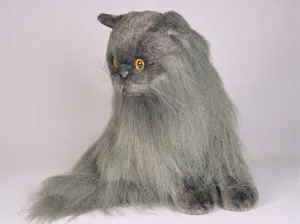 "Fabio" Angora Cat