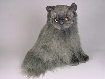 "Fabio" Angora Cat