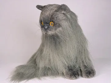 "Fabio" Angora Cat