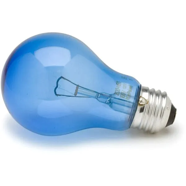 Zoo Med Daylight Blue Reptile Bulb